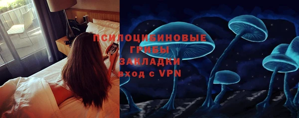 ECSTASY Абаза