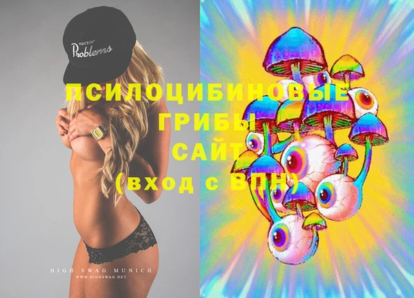 ECSTASY Абаза
